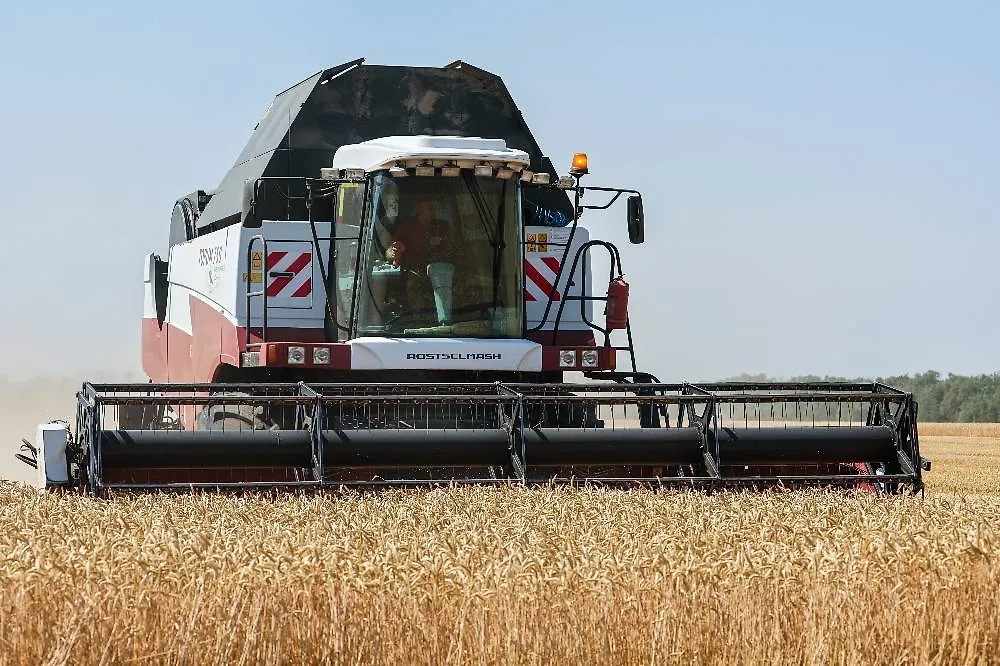 «Русагро» в настоящее время занимает четвёртую позицию в списке крупнейших собственников сельхозугодий в стране. Во владении компании — 670 тысяч гектаров. Фото © ТАСС / Эрик Романенко