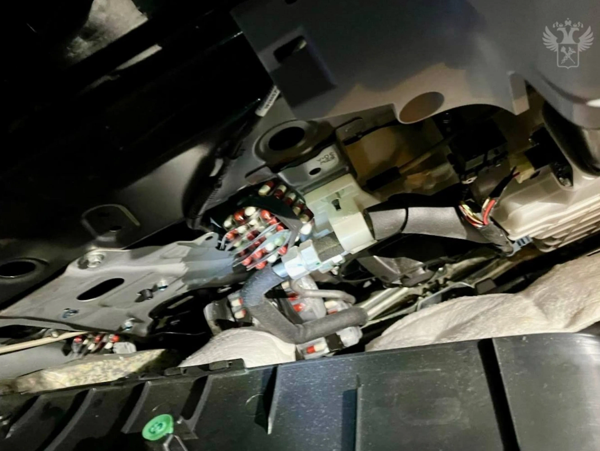 В Северной Осетии задержана контрабанда сильнодействующих веществ. Фото © Telegram / ФТС России