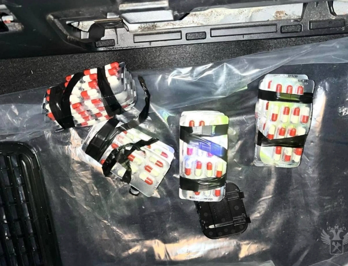 В Северной Осетии задержана контрабанда сильнодействующих веществ. Фото © Telegram / ФТС России