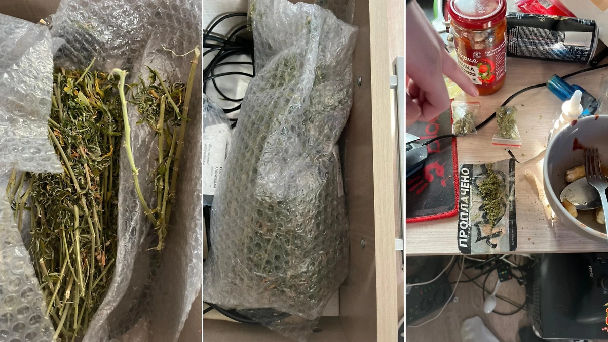 Обыски прошли в квартирах всех трёх задержанных. Фото © Telegram / Петербургская полиция