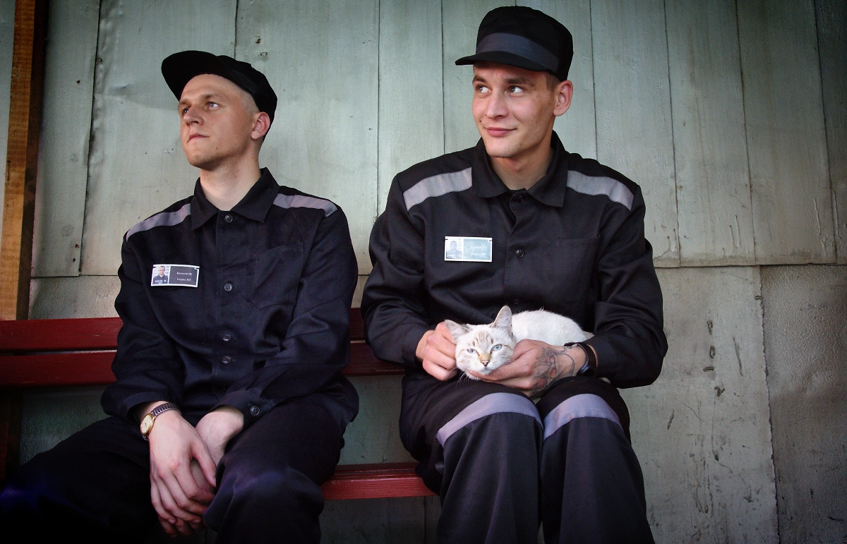 Обложка ©Shutterstock / FOTODOM Jonas Petrovas