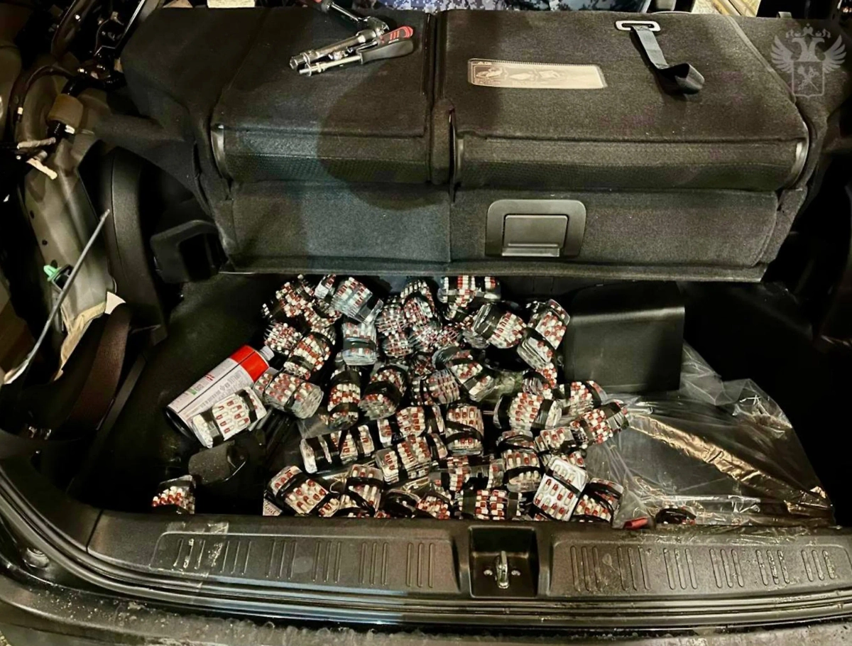 В Северной Осетии задержана контрабанда сильнодействующих веществ. Обложка © Telegram / ФТС России