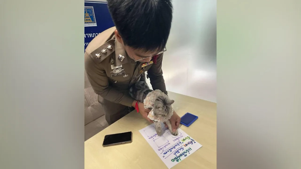 Фото © Facebook (признан экстремистской организацией и запрещён на территории Российской Федерации) / Da Parinda Pakeesuk