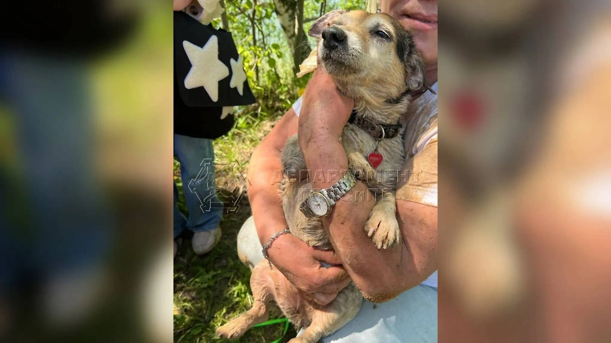 Фото © Пресс-служба департамента по делам гражданской обороны, чрезвычайным ситуациям и пожарной безопасности Москвы