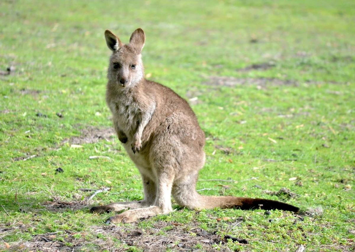 Обложка © freepik