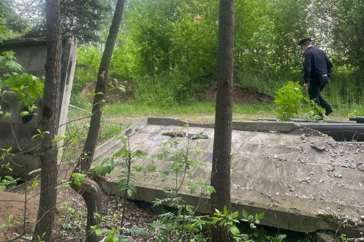 Бетонный забор, упавший на школьников в Балашихе. Обложка © Telegram / Прокуратура Московской области