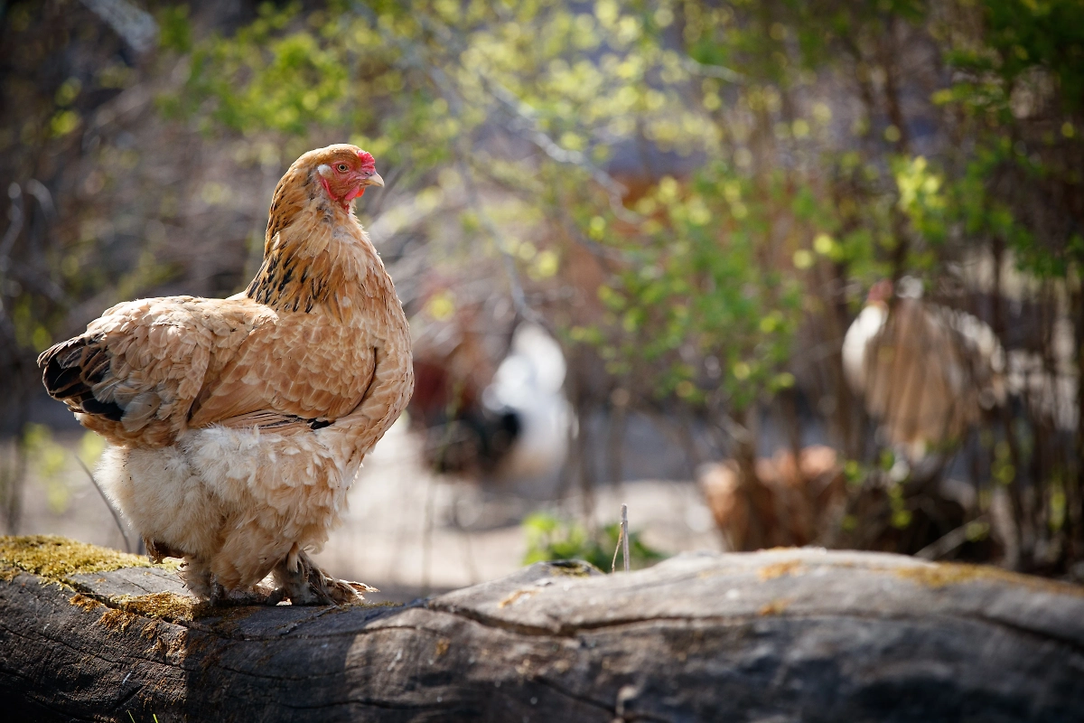 Обложка © Shutterstock /FOTODOM / goodmoments