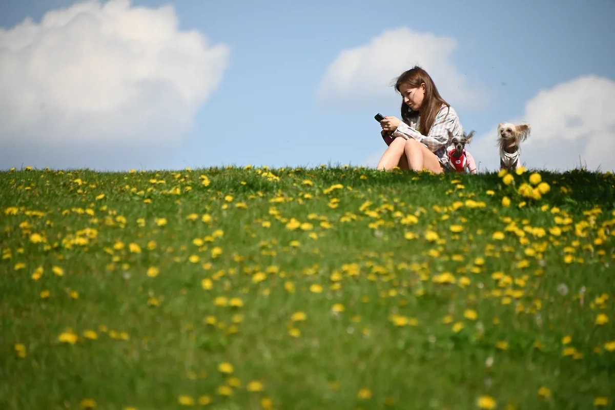 Обложка © Life.ru