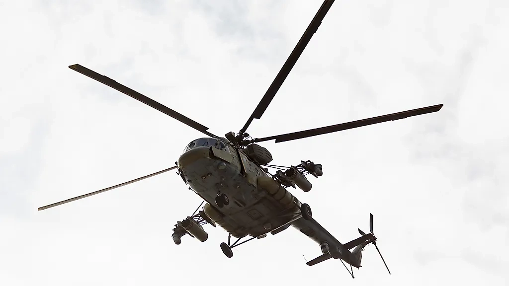 Обложка © ТАСС / Алексей Коновалов