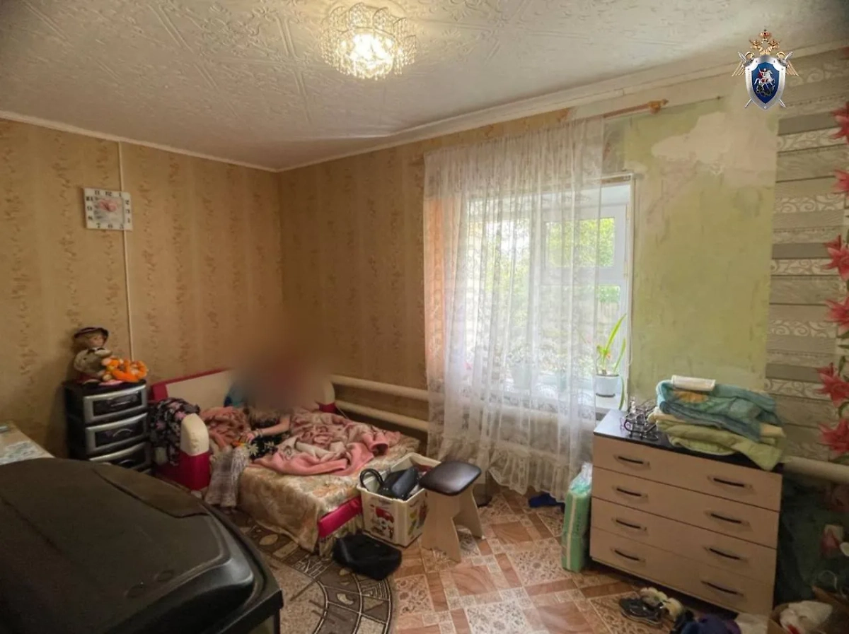 Обложка © Telegram/Челябинский Следком