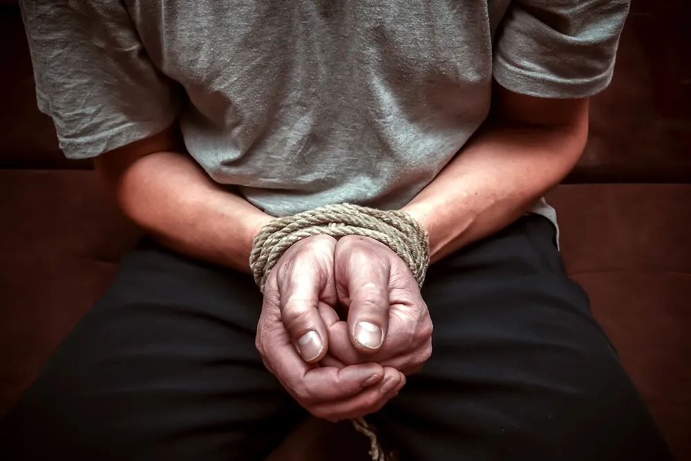 Обложка © Shutterstock / FOTODOM / Vladimir Konstantinov