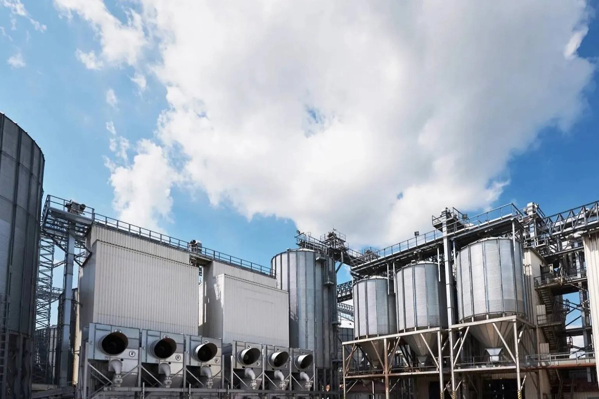 Обложка © Freepik