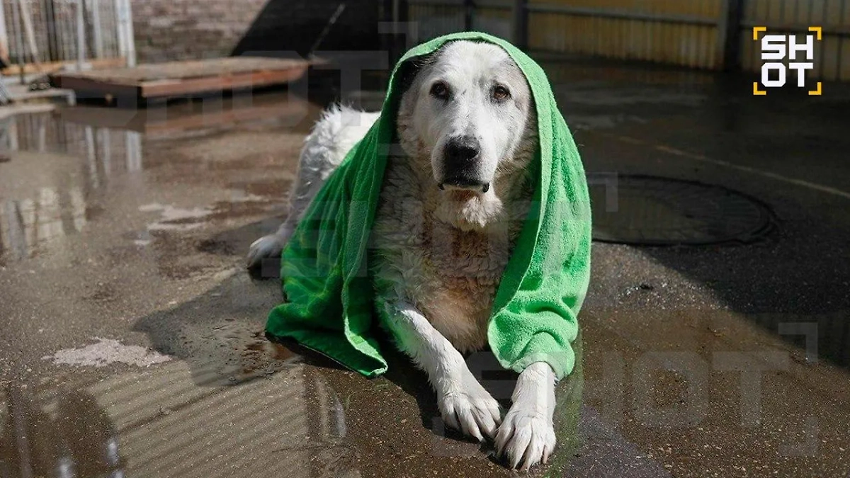 Кругетс. Фото © SHOT