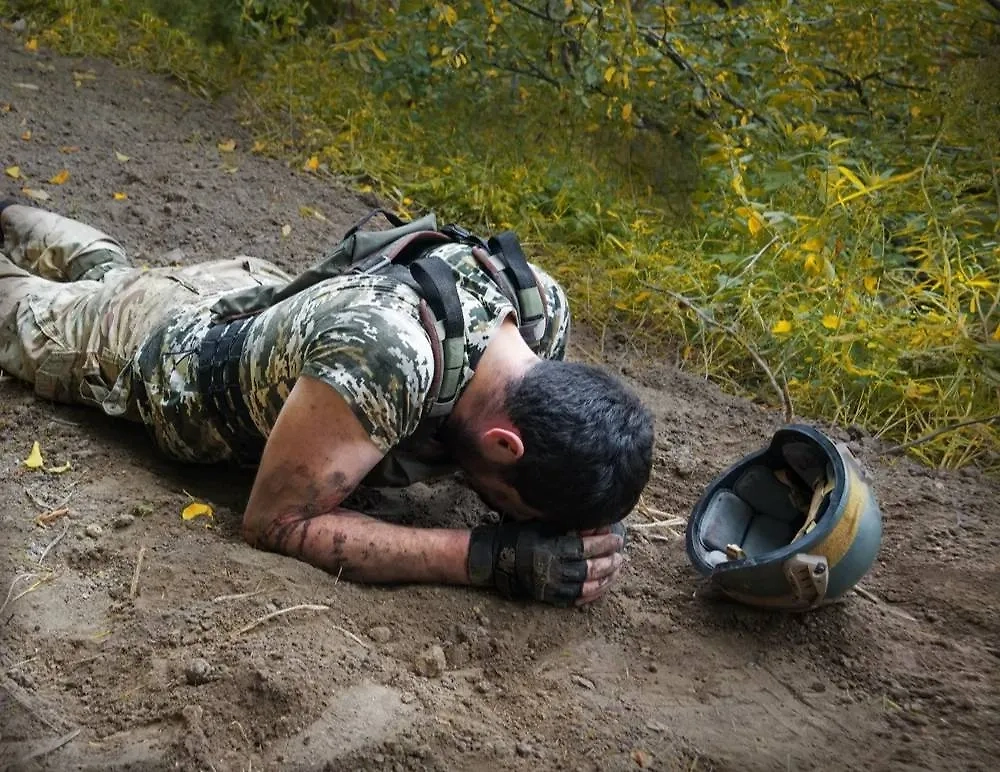 Обложка © Shutterstock / FOTODOM / ArtMari