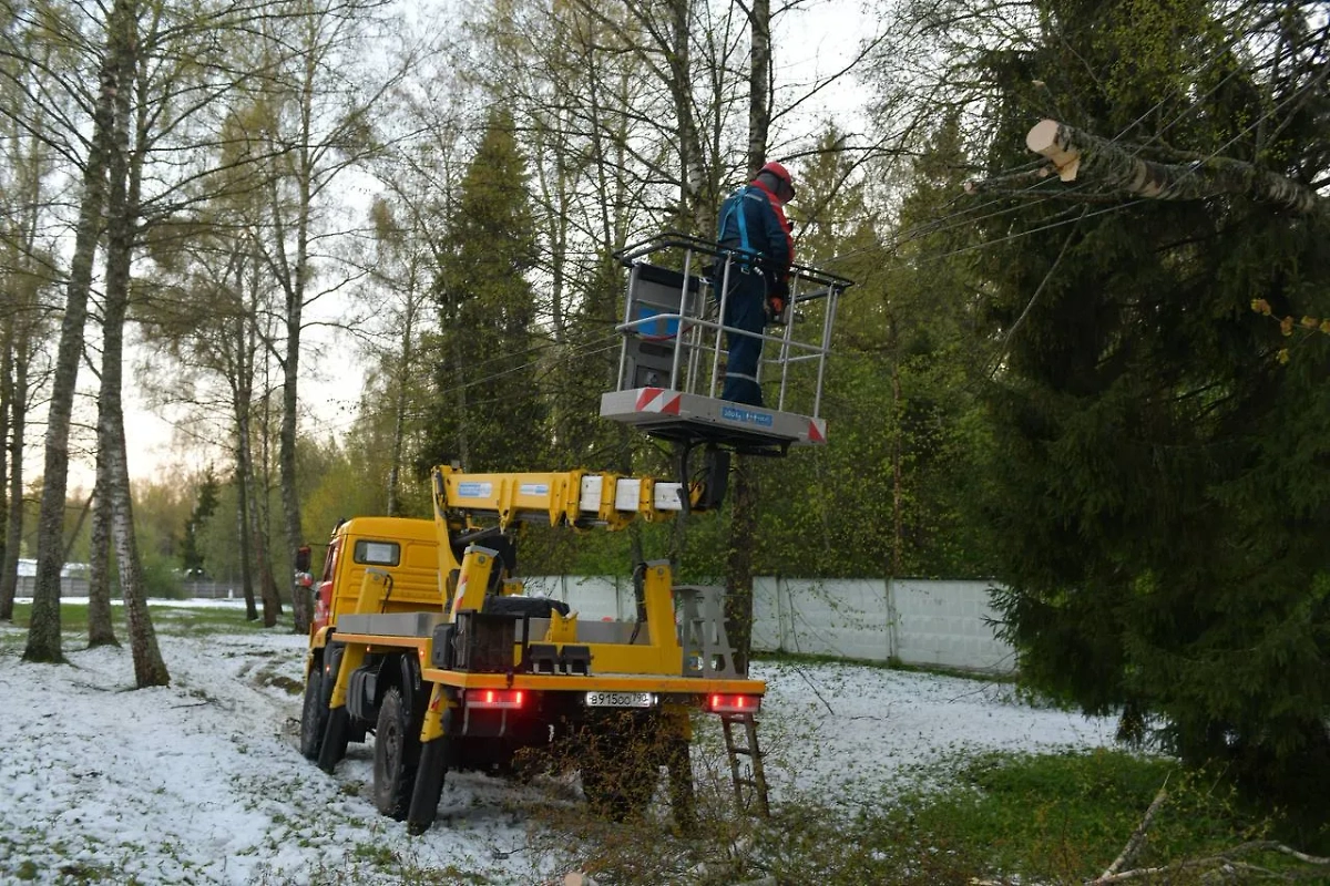 Устранение последствий непогоды. Фото © Telegram/ Россети Московский регион