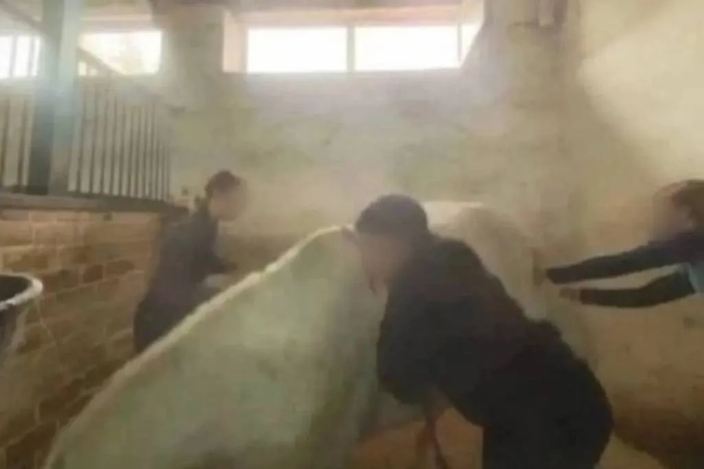 В Нижнем Новгороде девочки избили лошадь. Фото © VK / Подслушано. Нижний Новгород.