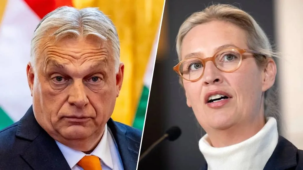 Виктор Орбан, Алиса Вайдель. Обложка © ТАСС / EPA / MARTIN DIVISEK, ТАСС / Zuma / Bernd Elmenthaler