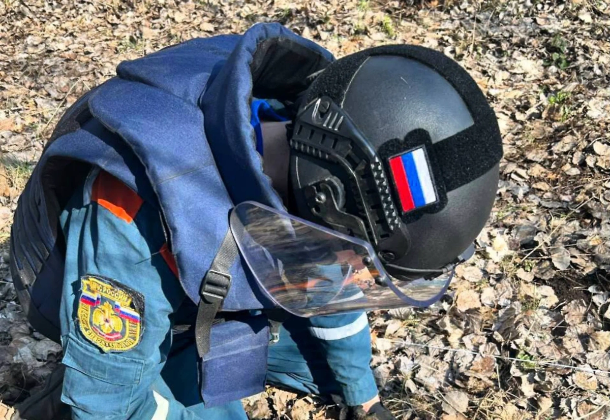 Сотрудник МЧС (иллюстрация). Обложка © Пресс-служба МЧС РФ