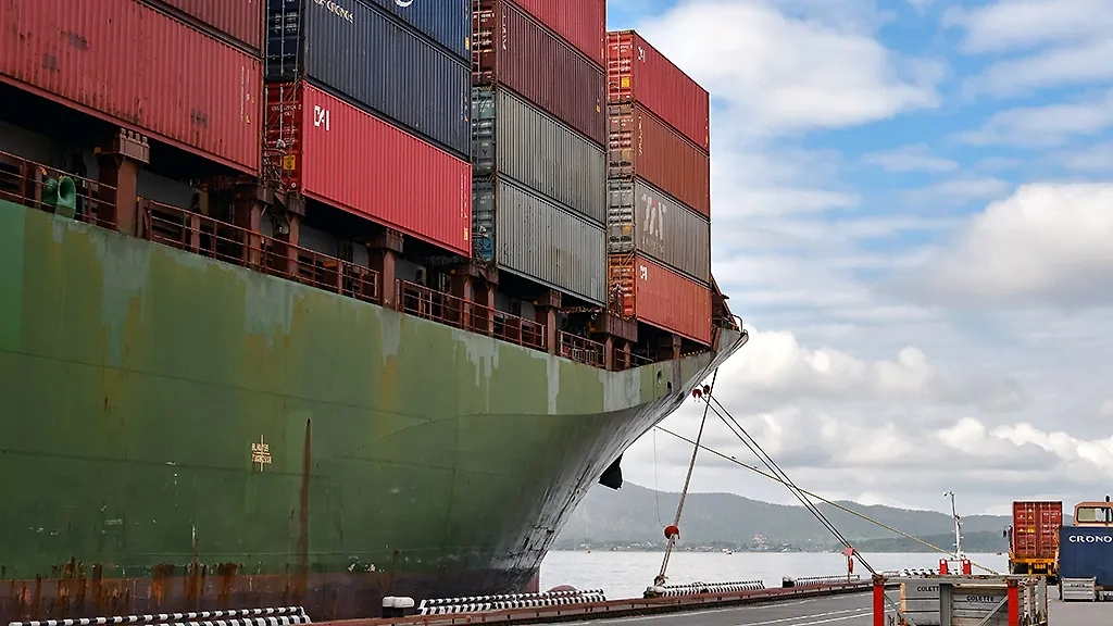 Обложка © ТАСС / Юрий Смитюк