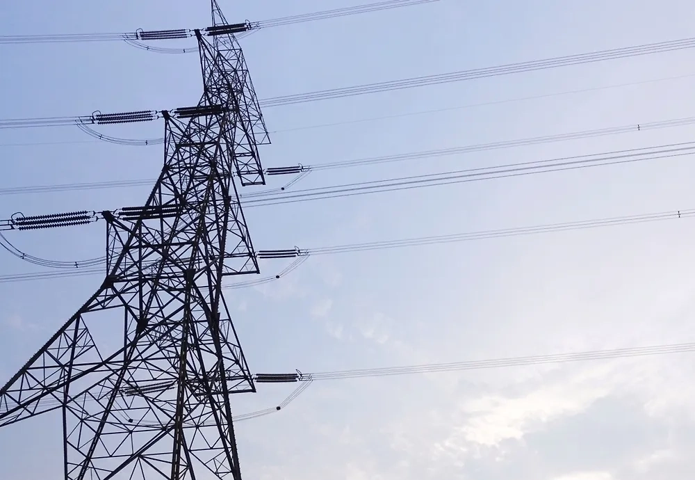 Обложка © Shutterstock / FOTODOM / tone kale