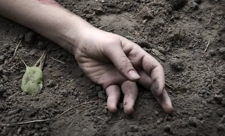 Обложка © Shutterstock / FOTODOM / ArtMari