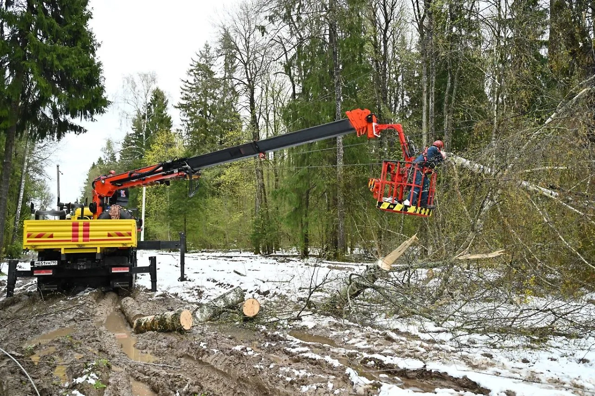 Обложка © Telegram/ Россети Московский регион