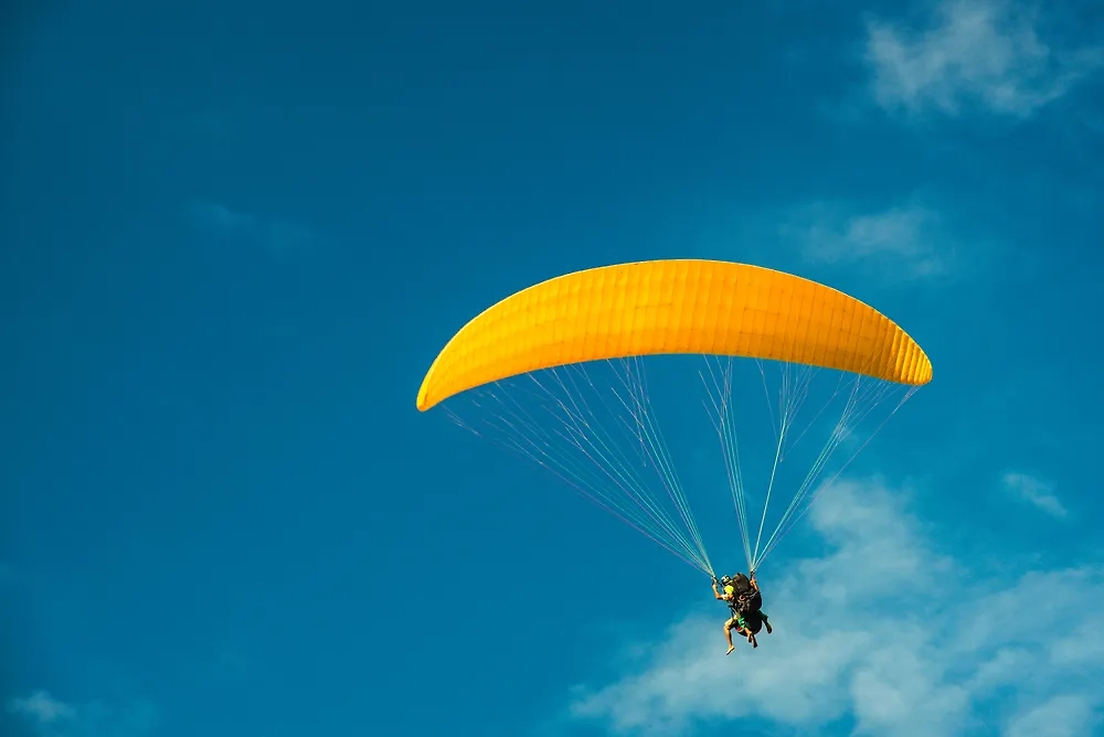 Обложка © Shutterstock / FOTODOM / henrique ferrera