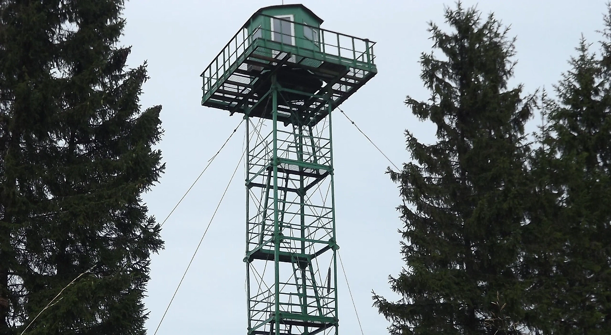 Погибший стрелок найден рядом с наблюдательной вышкой в Амурской области. Обложка © Государственная инспекция труда Амурской области