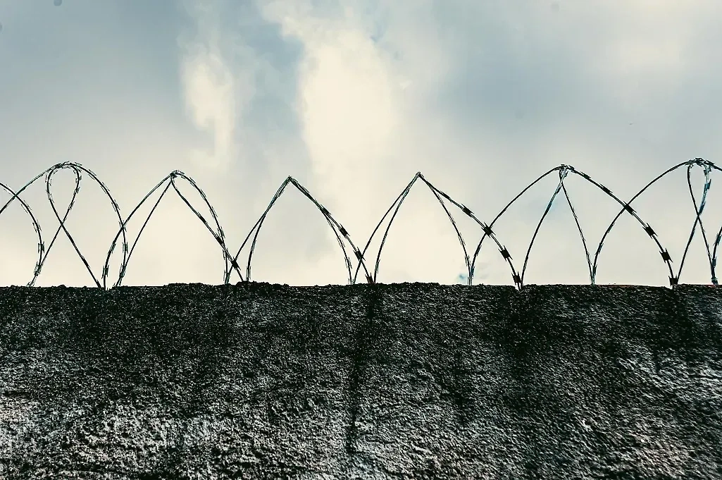 Обложка © freepik / Mateus Andre