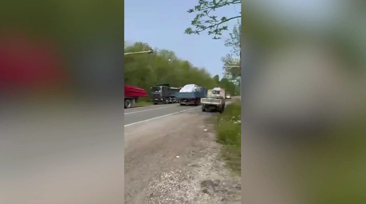 Обложка © Telegram / NEWS.VL | Владивосток и Приморье