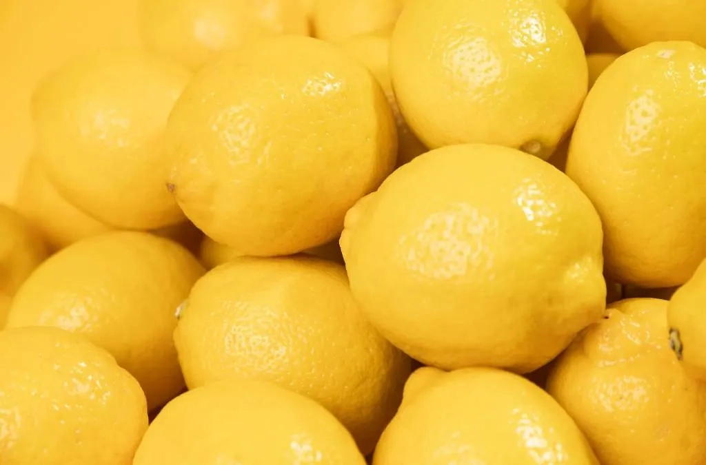 Лимоны. Обложка © Freepik 