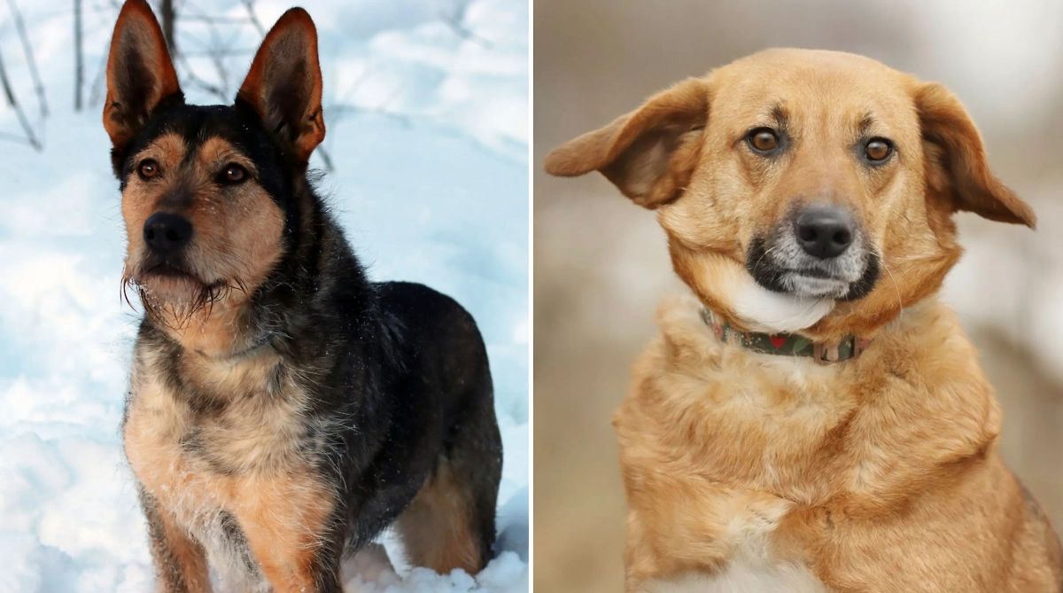 Фото © Предоставлено Life.ru фондом «Подарок судьбы»