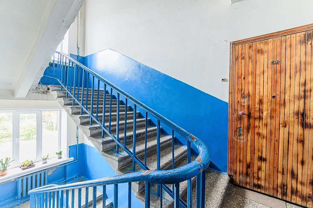 Обложка © Shutterstock / FOTODOM / evgeniykleymen