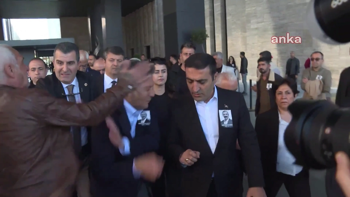 Момент нападения. Обложка © X / ankahabera