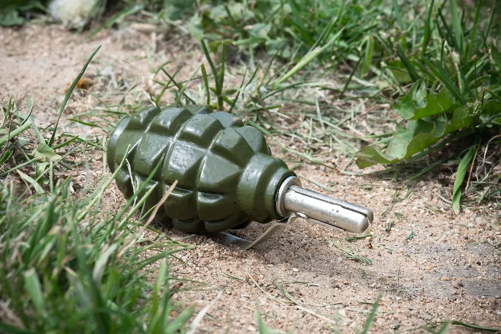 Обложка © Shutterstock / FOTODOM / Camptoloma