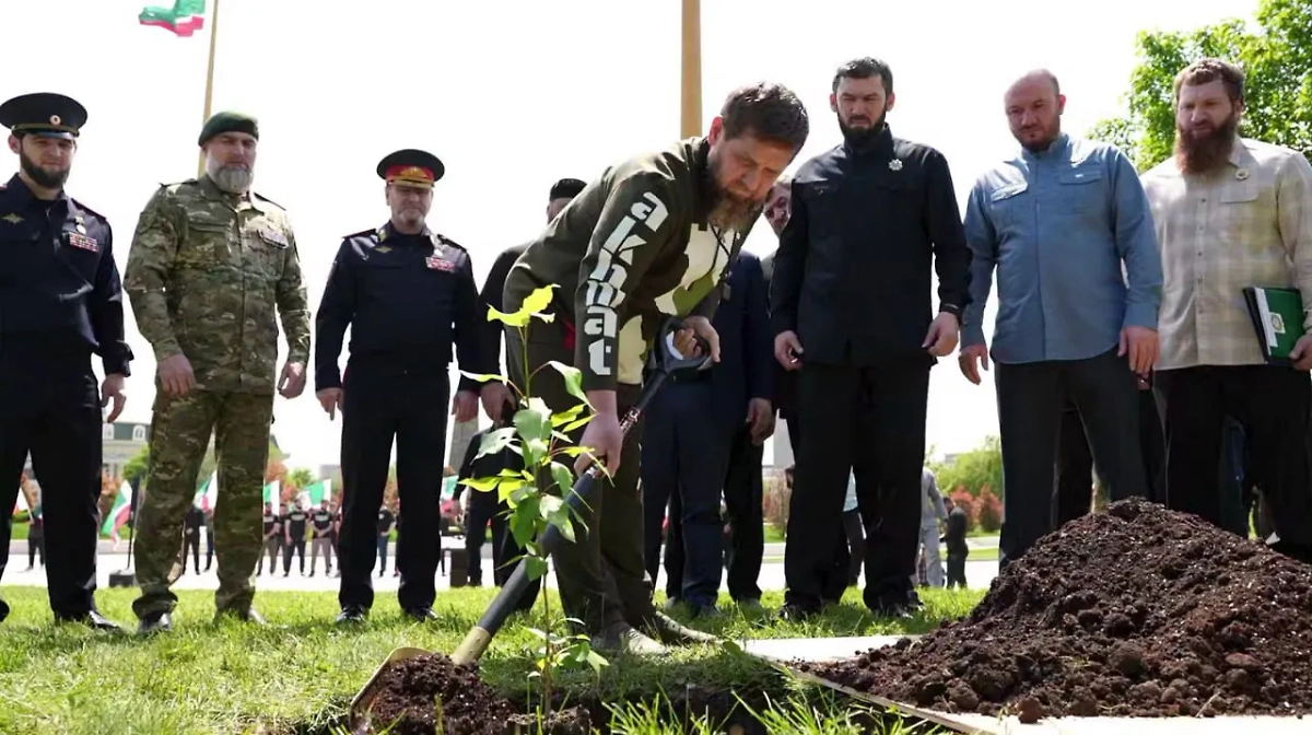 Рамзан Кадыров посадил в центре Грозного саженец «Тополя Победы». Обложка © Telegram / Kadyrov_95