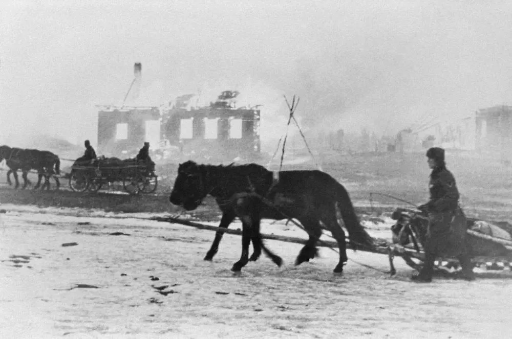 Лошади — главные работяги блокадного Ленинграда. Фото © ТАСС / Репродукция ТАСС