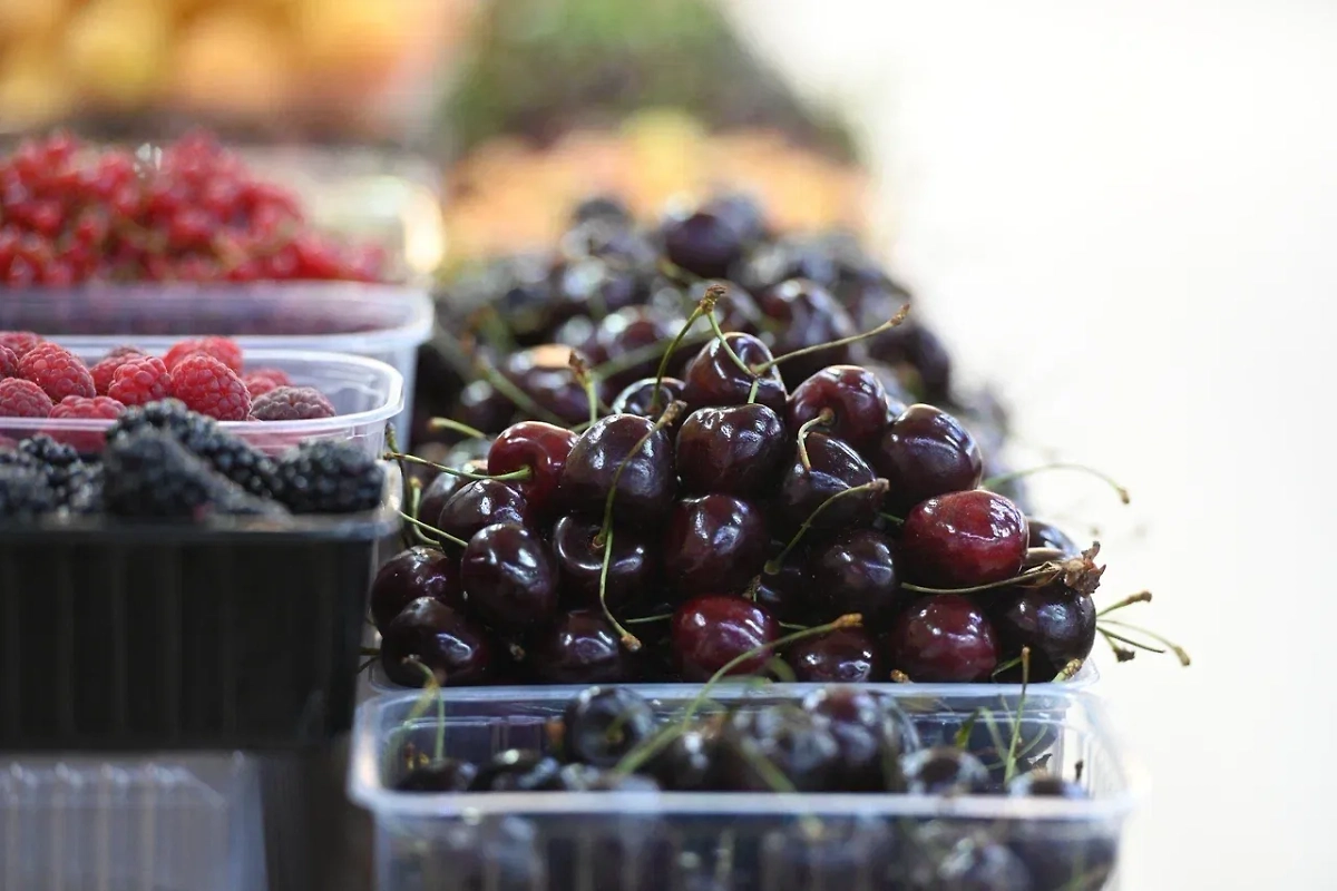 Обложка © Life.ru