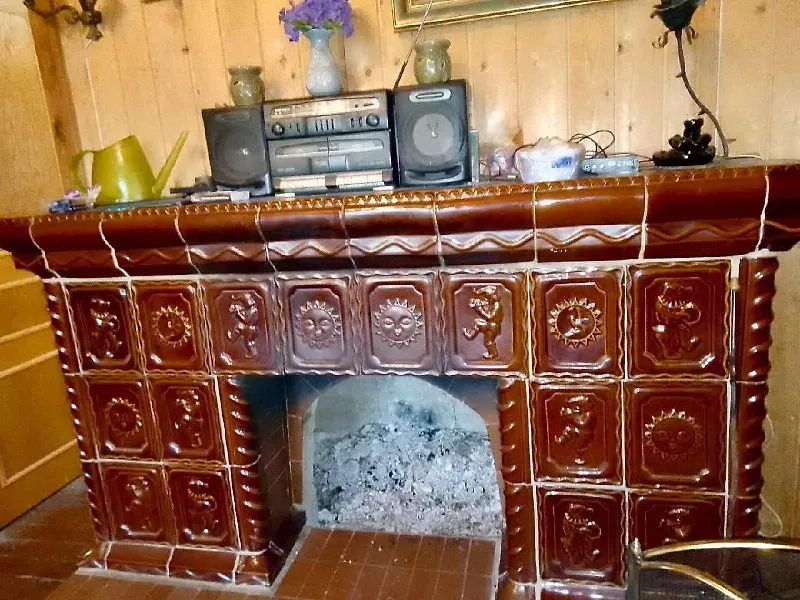 Камин в доме. Обложка © Пресс-служба ГСУ СК РФ по Московской области