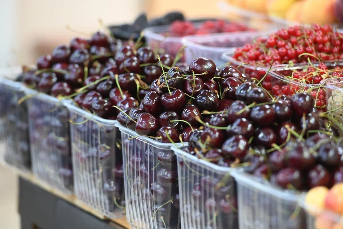 Черешня. Обложка © Life.ru