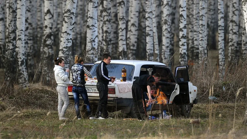 Аптечка для пикника: что взять с собой на природу в майские. Фото © ТАСС / Смирнов Владимир