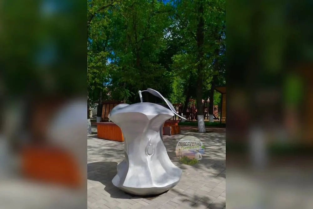 Арт-объект в виде огрызка яблока. Фото © VK / Подслушано Мичуринск