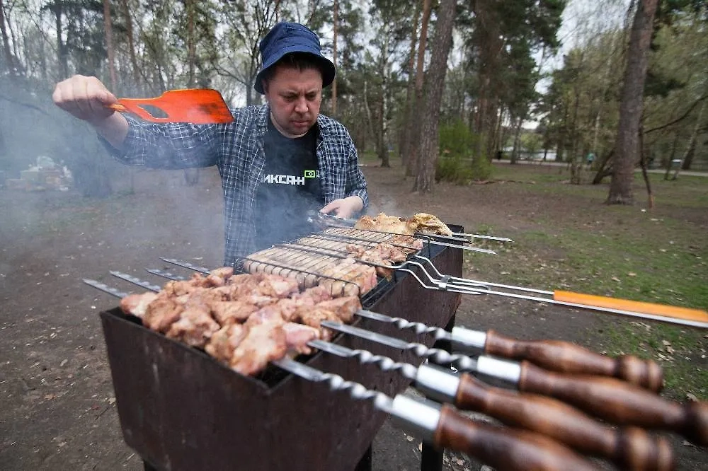 Безопасный отдых на майские праздники: 8 главных опасностей на природе. Обложка © ТАСС / Артур Новосильцев