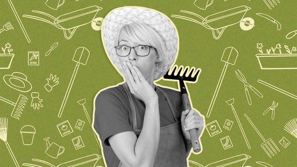 Коллаж © Life.ru. Обложка © Freepik / stockking, macrovector