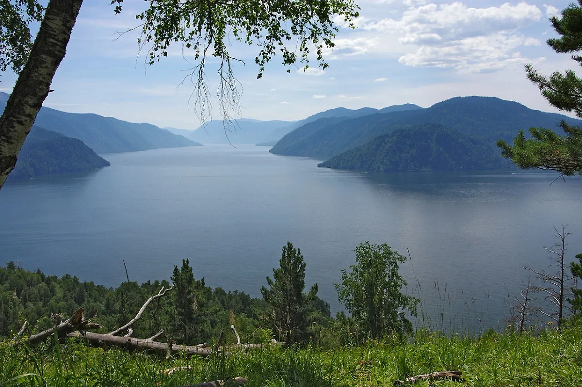 Телецкое озеро. Обложка © Wikipedia / Grozovsky