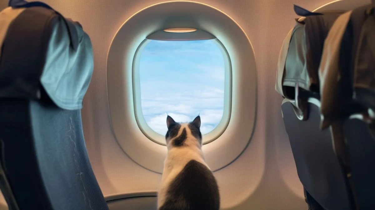 Обложка © Shutterstock / FOTODOM / ИИ