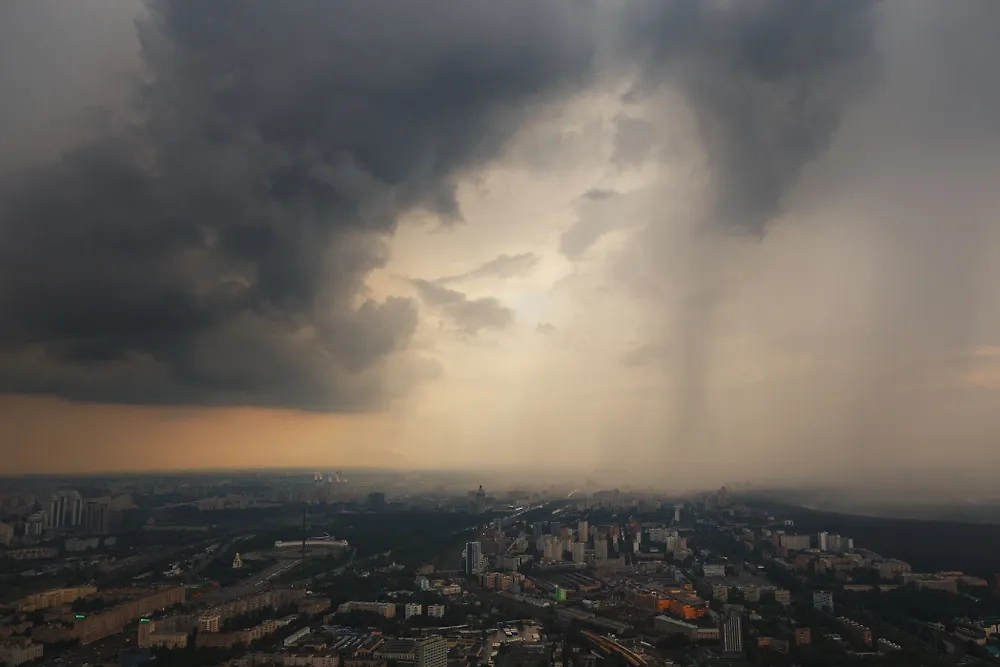 Обложка © Shutterstock / FOTODOM / Sergey Gordienko