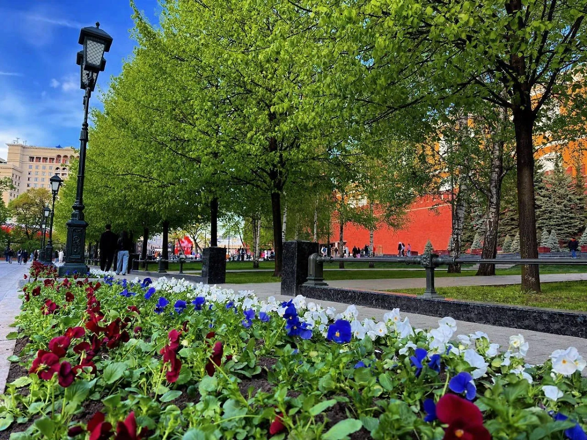 Фото © Управление делами Президента Российской Федерации