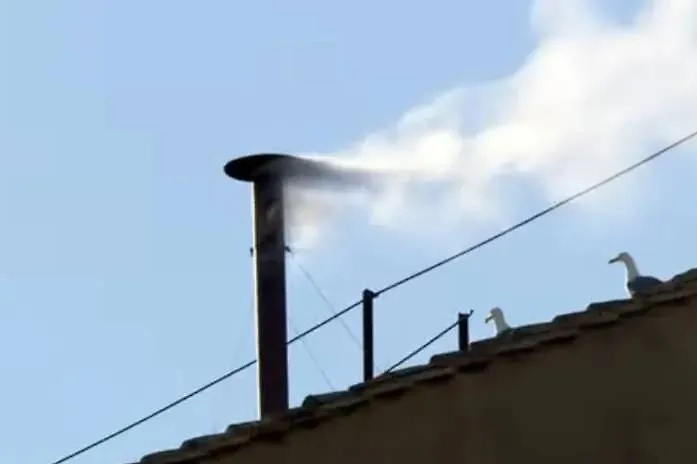 Обложка © X/ VaticanNews