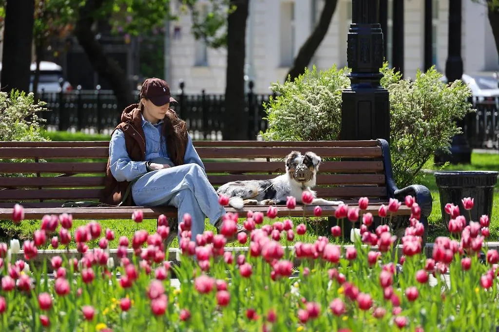 Майское тепло придёт в Россию не сразу. Обложка © ТАСС / Олег Елков